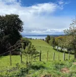 Refugio Carpinteros Chiloé