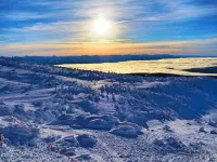 Cozy Big White Ski-In 1-bedroom condo. Sleeps 4-6+. RENOVATED! Pet-Friendly