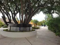 Discount on 7 days or more !!