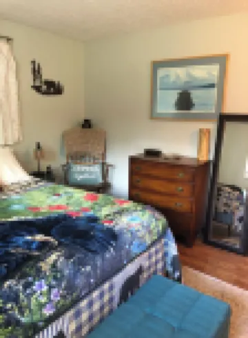 Wilderness Retreat - 12 acres near Munising