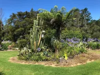 Bush Edge Studio Hoteles en Whangamata