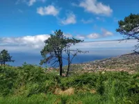 Mountain Cottage - Away from it all!