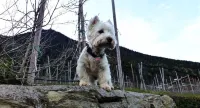 Von Hier ist es ein Katzensprung zu Ihren Abenteuern Rund ums Zittauer Gebirge