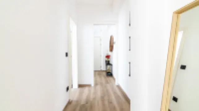 Apartment within walking distance of Merano's thermal baths and beautiful promenades