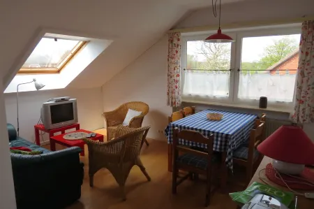 Relax between the forest and the sea in the "Silva Mare" house