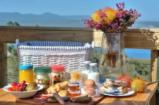 斯坦福山莊園非洲露營野生動物園 - 華麗露營