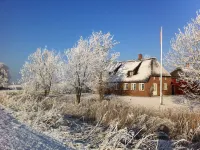 Beautiful thatched cottage on the German-Danish border near Sylt