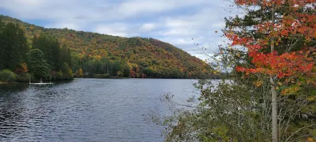 Cozy Log Cabin Getaway Waynesville, Smokey Mountains, Blue ridge Parkway Отели рядом с достопримечательностью «Блу-Ридж-Паркуэй»