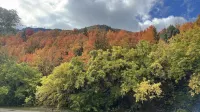 Lava Spa Motel & RV Hotels in Lava Hot Springs