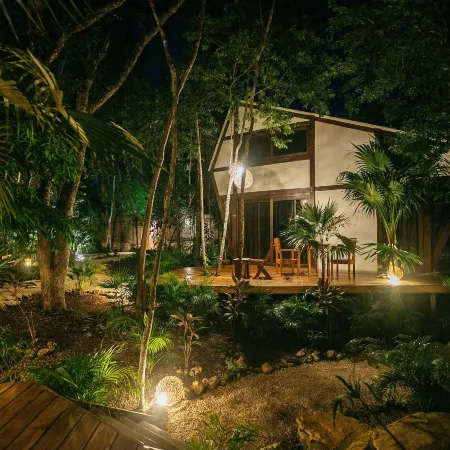 Nahouse Jungle Lodges