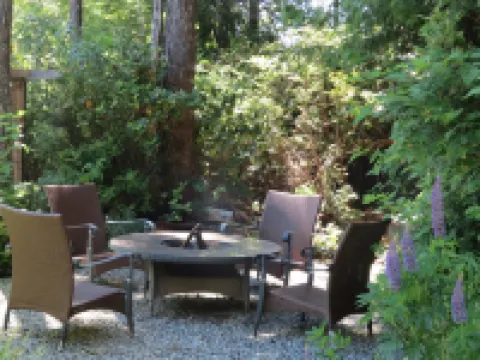 Cobble Wood & Bird Sanctuary Guest Houses Hotels in Tofino