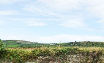 The Annexe, Laburnum - Housity