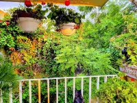 Dickinson Guest House, Guadalajara Expo