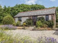 Wagtail Hotels in Holsworthy