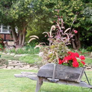 Burleys Gardens and Suite