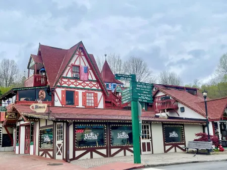 Cozy Cabin and Fall Leaves!  Swim, Horses, Hiking, Lake-3 mi from Helen! Relax!
