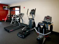 Hampton Inn Suffolk - Gym