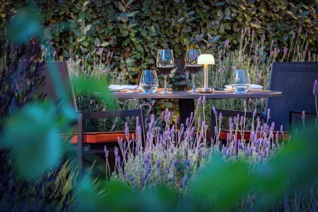 Gran Hotel Mas d' en Bruno Отели в г. Эль-Масроч