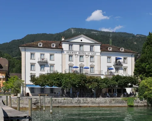 Seehof Hotel du Lac Hotels in Weggis