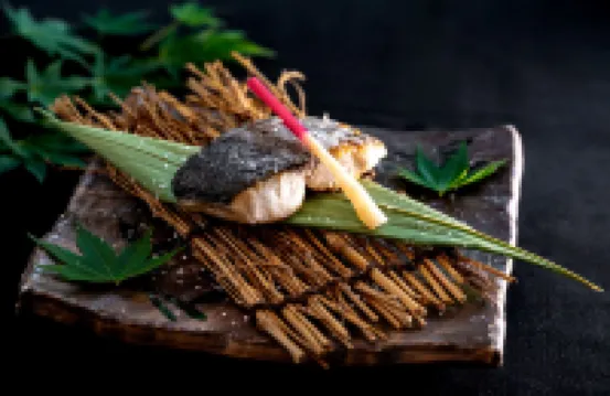 yamakawaonsen kosugian