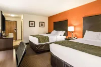 Comfort Inn Wings Stadium Hotels in Kalamazoo