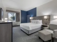 Best Western Bolingbrook Hotel Hotels in Will County