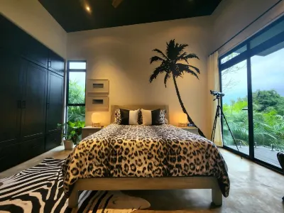 ROCKSTAR! modern luxury lake view home. la fortuna, costa rica附近的飯店
