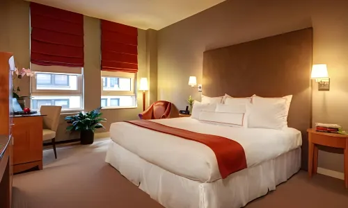 Hotel Giraffe by Library Hotel Collection