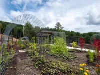 Mirror Cabin - Reflections Hotels in Transylvania County