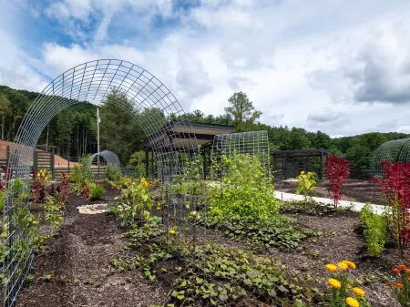 Mirror Cabin - Reflections Отели в г. Трансильвания