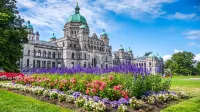 Quality Inn Downtown Inner Harbour Hotels near Craigdarroch Castle