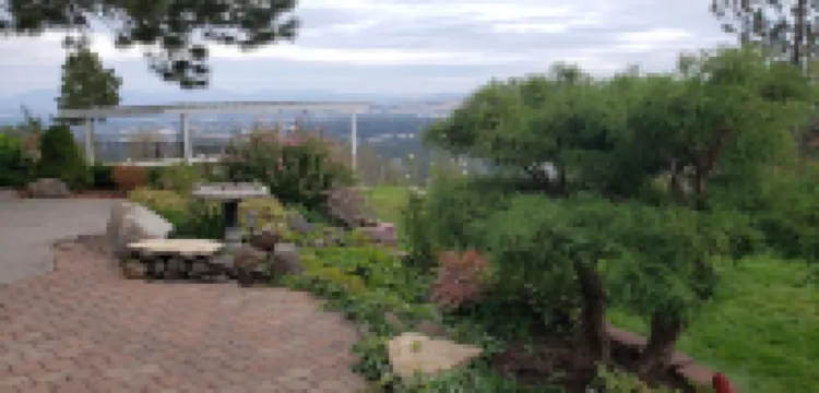 Luxury Panoramic View Home