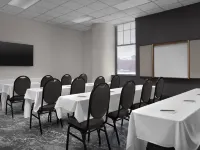 The Suites Hotel at Waterfront Plaza Hotels in Duluth