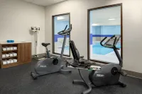 Holiday Inn Express & Suites BROCKVILLE by IHG - Gym