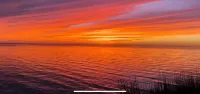 Expansive Ocean View: Private Balcony, Pool, Elevator & Executive Office