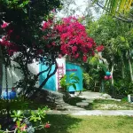 WATERFRONT W/POOL, STARFISH