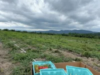 Cabin on the hill Ascutney Vt - 4 bedrooms