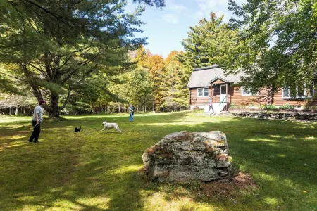 NEW:Luxury 4BR Log Cabin surrounded by trees in Hunter. Near Hiking & Waterfalls