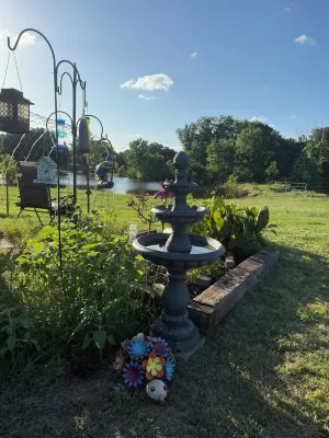 Charming 1 room cottage with overnight horse boarding, country views, and WiFi