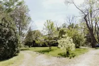 Historical and Spacious Shabby Cabin Retreat! Modern Amenities
