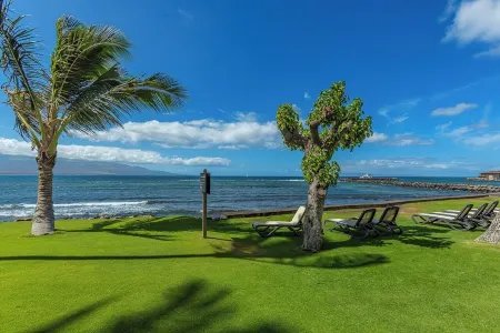 Ocean Front Condo at Ma'Alaea Just a Few Steps to the Ocean and Harbor. Отели в г. Маалаеа