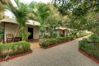 Gir Lion Safari Camp
