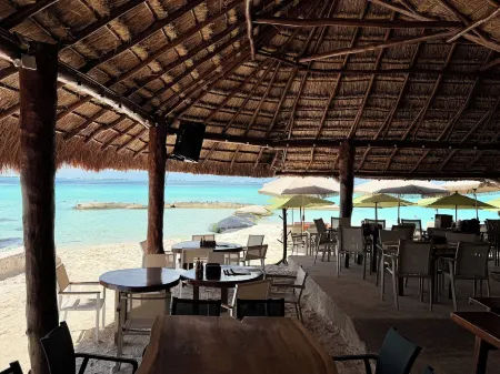 Chichis and Charlies Отели в г. Исла-Мухерес