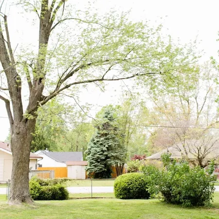 Luxurious Marilyn’s Mansion in the heart of Springfield!