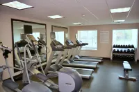 Holiday Inn Express & Suites HOUSTON NW - TOMBALL AREA by IHG - Gym