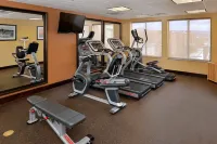 Holiday Inn Express & Suites PAGE - LAKE POWELL AREA by IHG - Gym