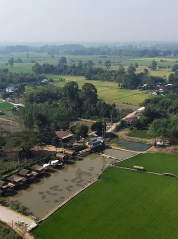 รูปภาพของนอนนาดูบัว