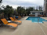 La Quinta Inn & Suites by Wyndham Forsyth - Pools