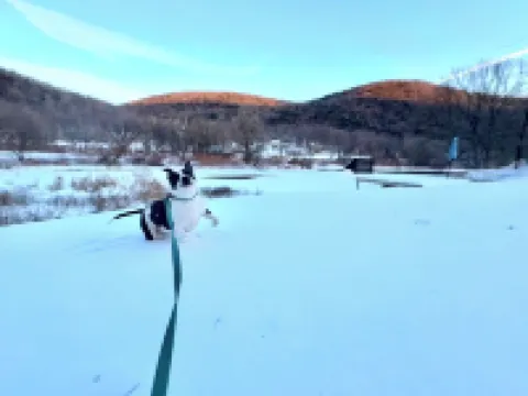 Kayak/Canoe/Fish & Relax right from the backyard of this Riverfront 3 B/R home! Hotels in Colchester