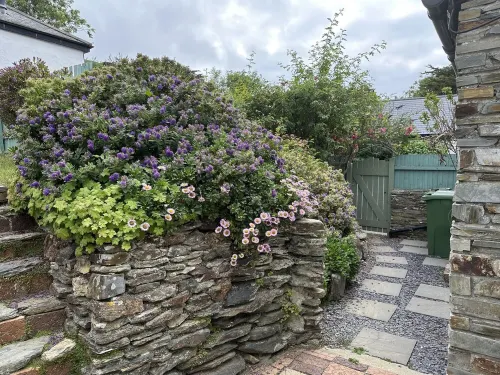 Charming  Listed Thatched Cottage with parking and short walk to sandy beach .